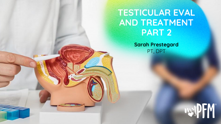 Testicular Eval and Treatment Part 2